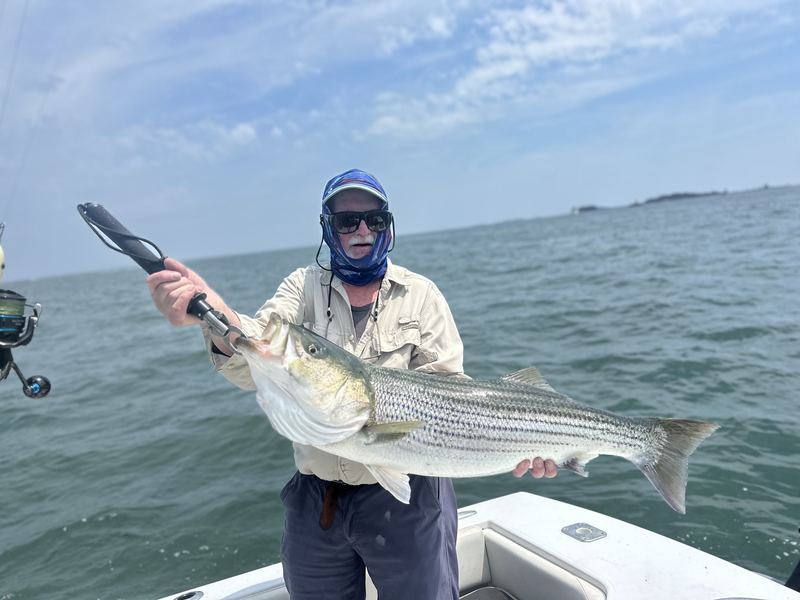 Angler with a striped bass on a foggy morning charter