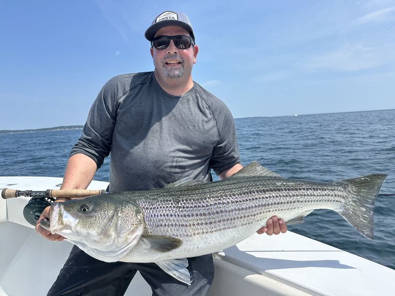 Angler with big striped bass in Boston Harbor
