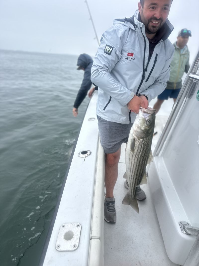 Anglers reviving and releasing a striped bass boatside