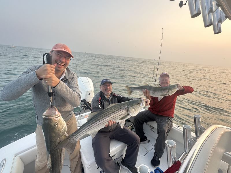 Anglers with a striped bass at sunset in Boston Harbor