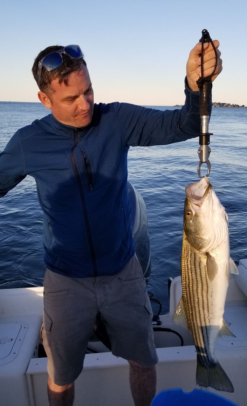 Another Boston Harbor keeper sized striped bass
