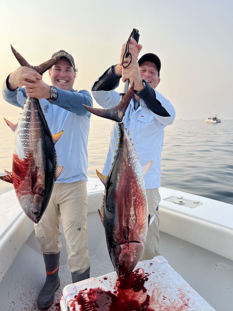 Bluefin tuna jig and pop, Cape Cod MA