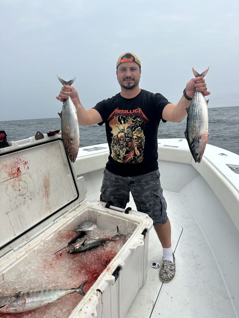 Bonito fishing, Cape Cod Charter