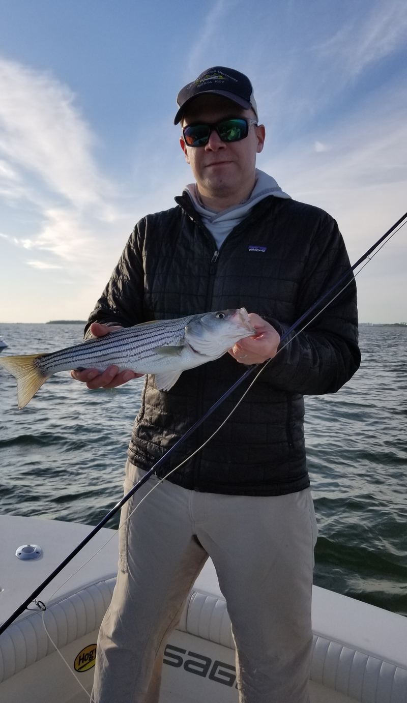 Boston Harbor Striped Bass on the Fly