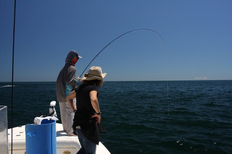 Boston Harbor Striped Bass on the fly