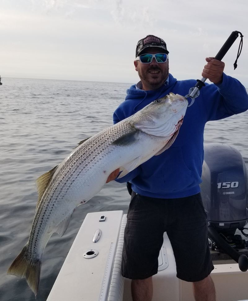 40 pound topwater striped bass in Boston Harbor