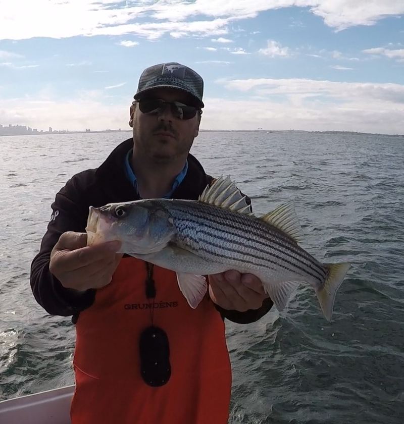Fly fishing Boston Harbor with the city skyline in the background