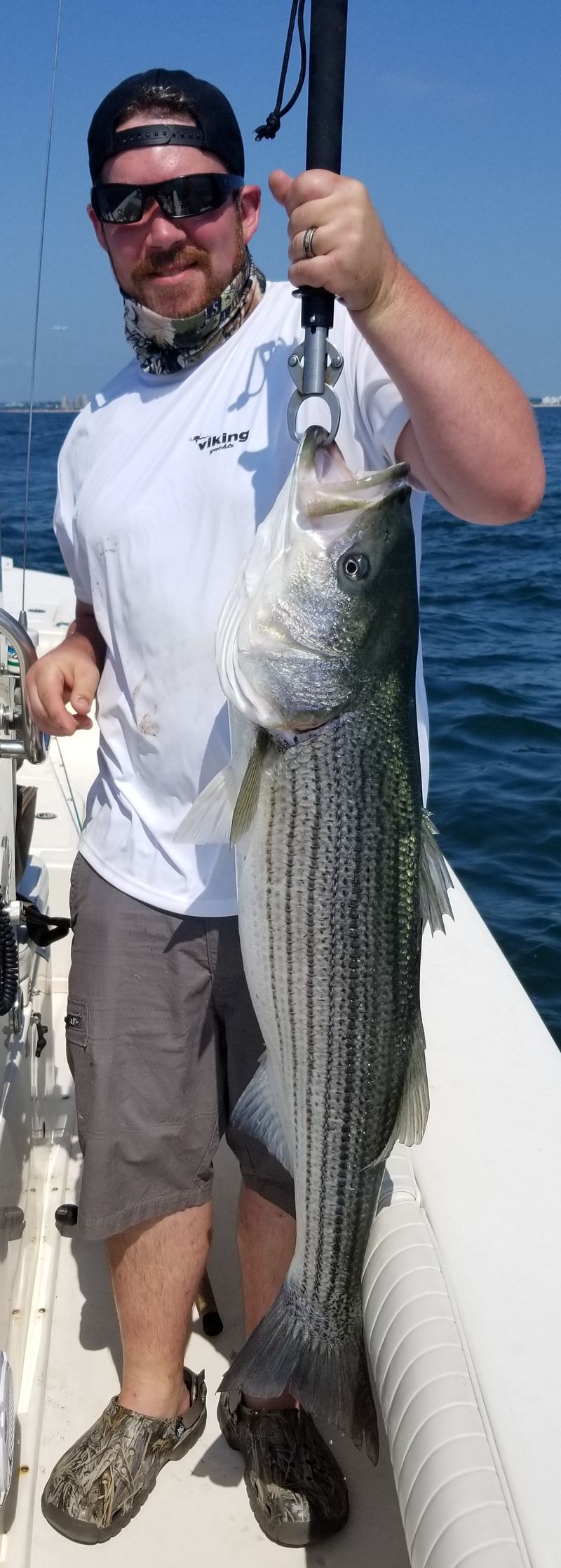 Boston Topwater Light Tackle Stripers