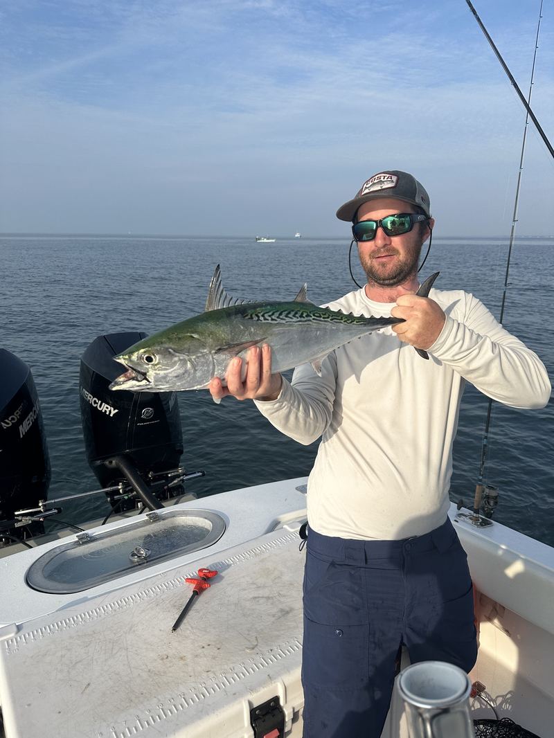 Cape Cod Albies are a blast, even from a boat!