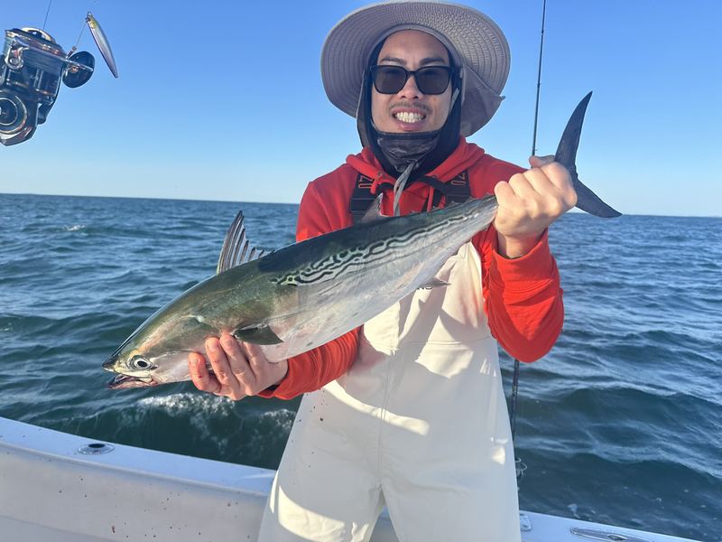 Cape Cod False Albacore