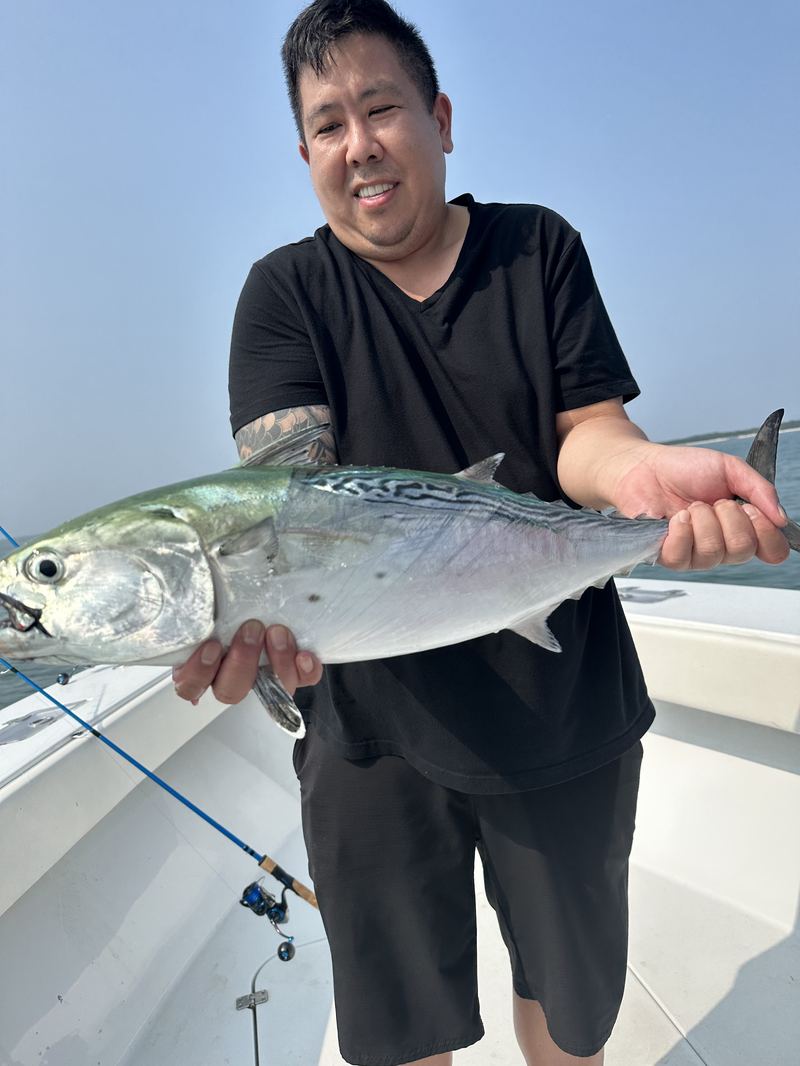 Cape Cod Fishing Albies