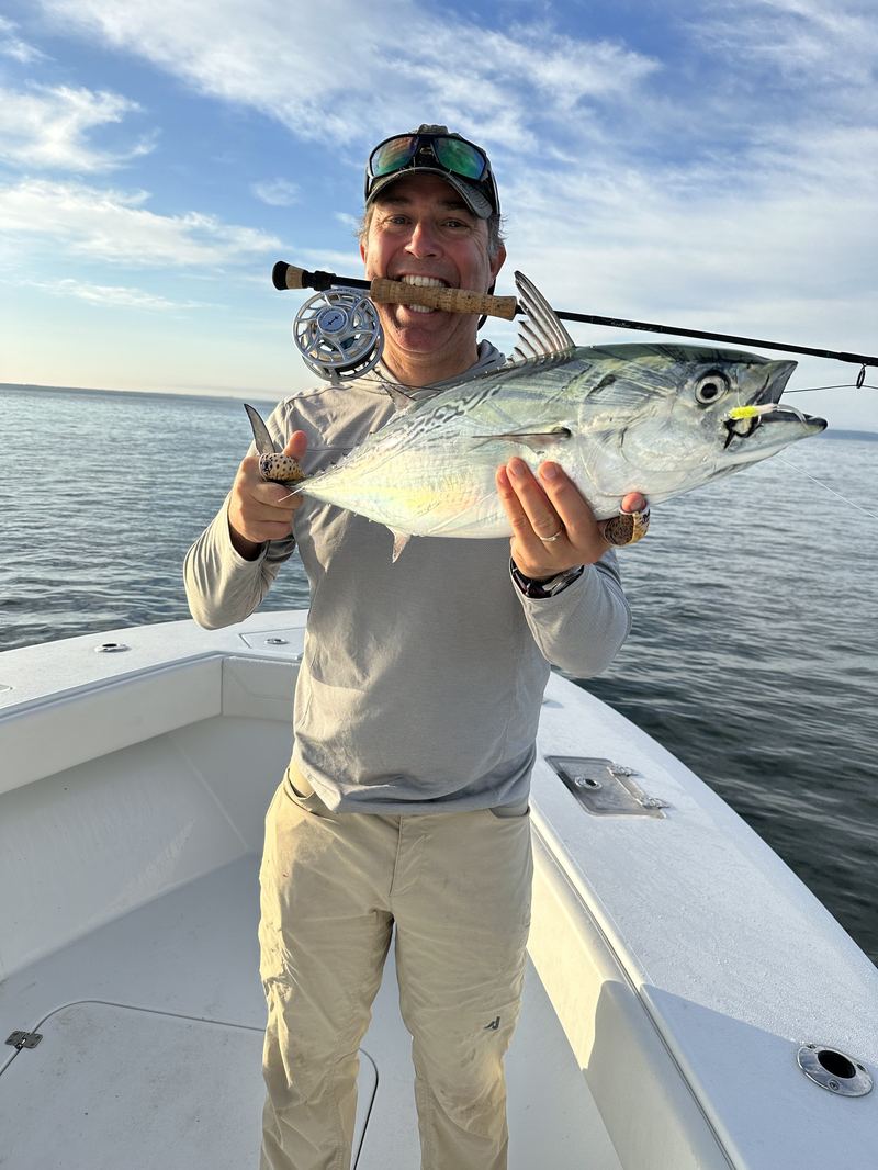 Chatham Cape Cod Albies on the Fly