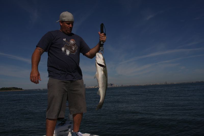 Striped bass fly fishing in Boston Harbor with the city skyline behind