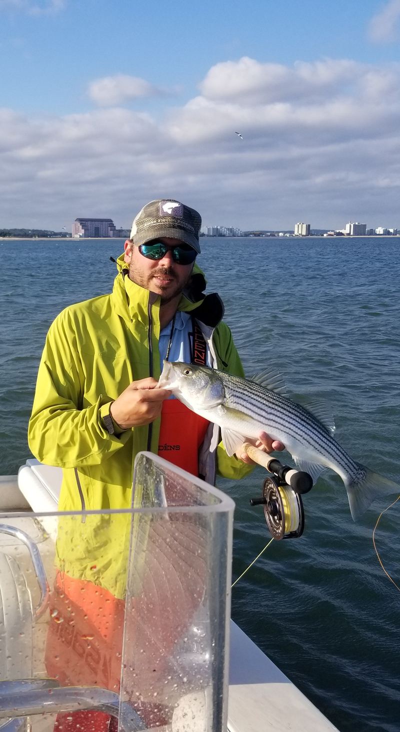 Fall Run Stripers on the Fly in Boston Harbor