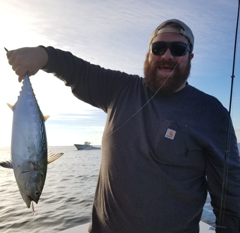 First Albie in Cape Cod