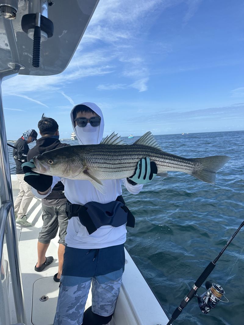 Provincetown Striped Bass Fishing on a charter
