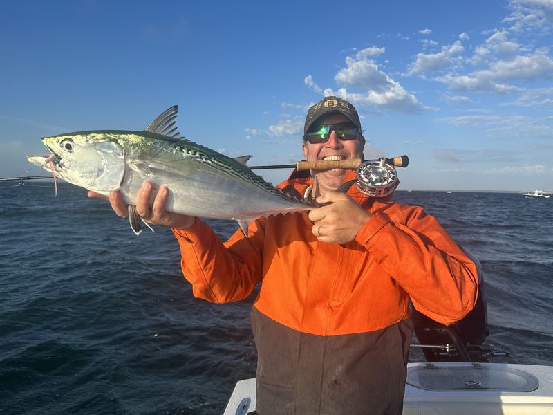 False albacore fly fishing off Cape Cod