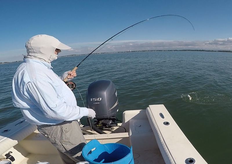 Striped Bass on the fly, Boston