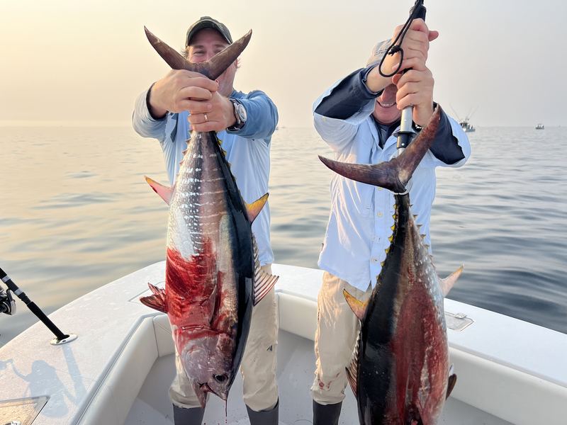 Two anglers with big bonito on a Cape Cod charter