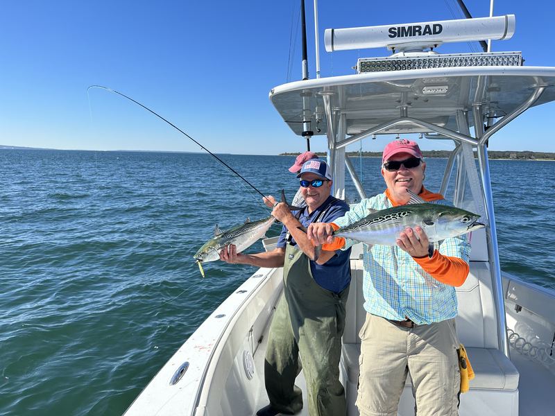 Two anglers with false albacore aboard the Conch 27