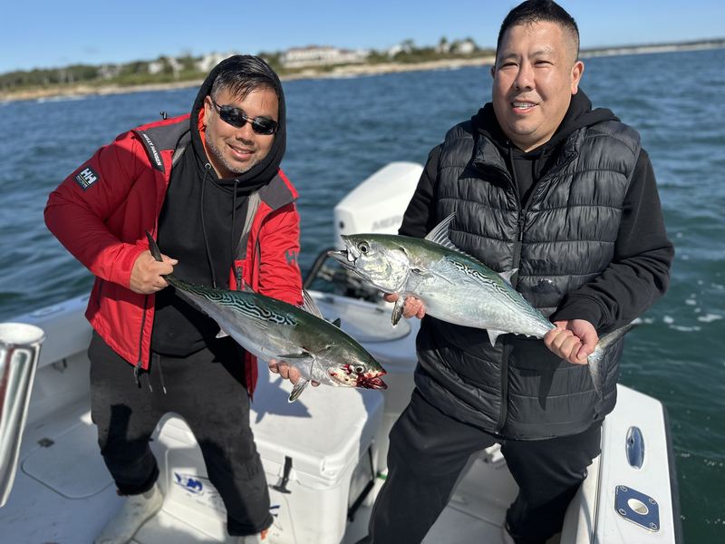Two anglers with false albacore and the Boston skyline behind