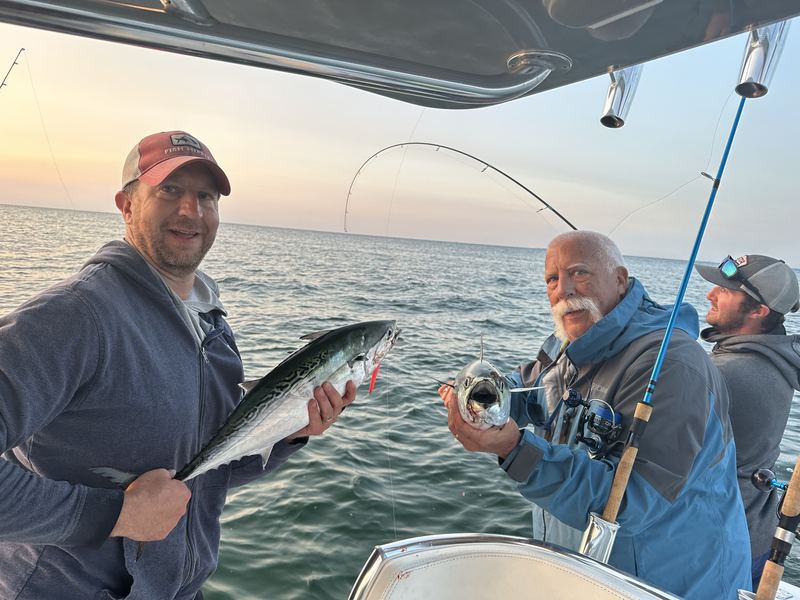 Two anglers with false albacore on a Cape Cod charter