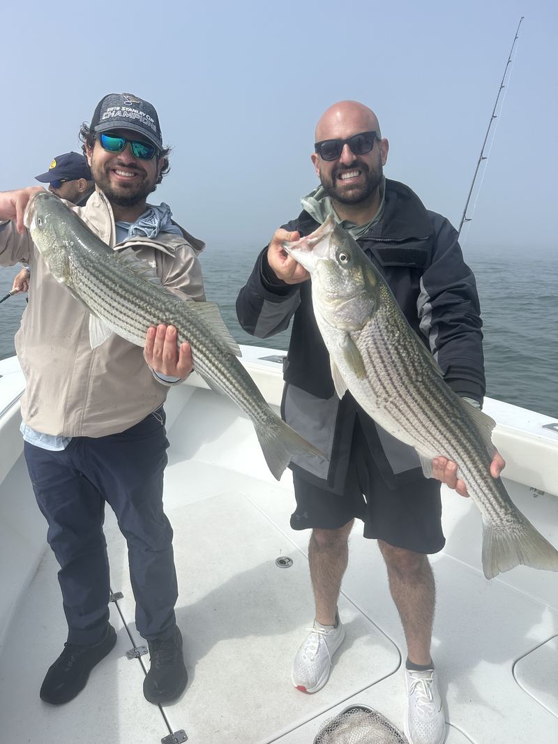 Two anglers with striped bass on a Boston Harbor charter