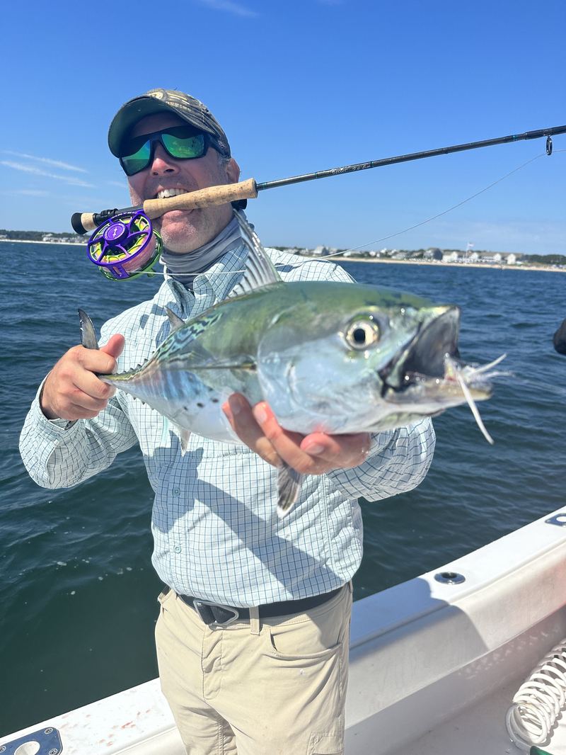 Whooping the albies in Cape Cod on the fly