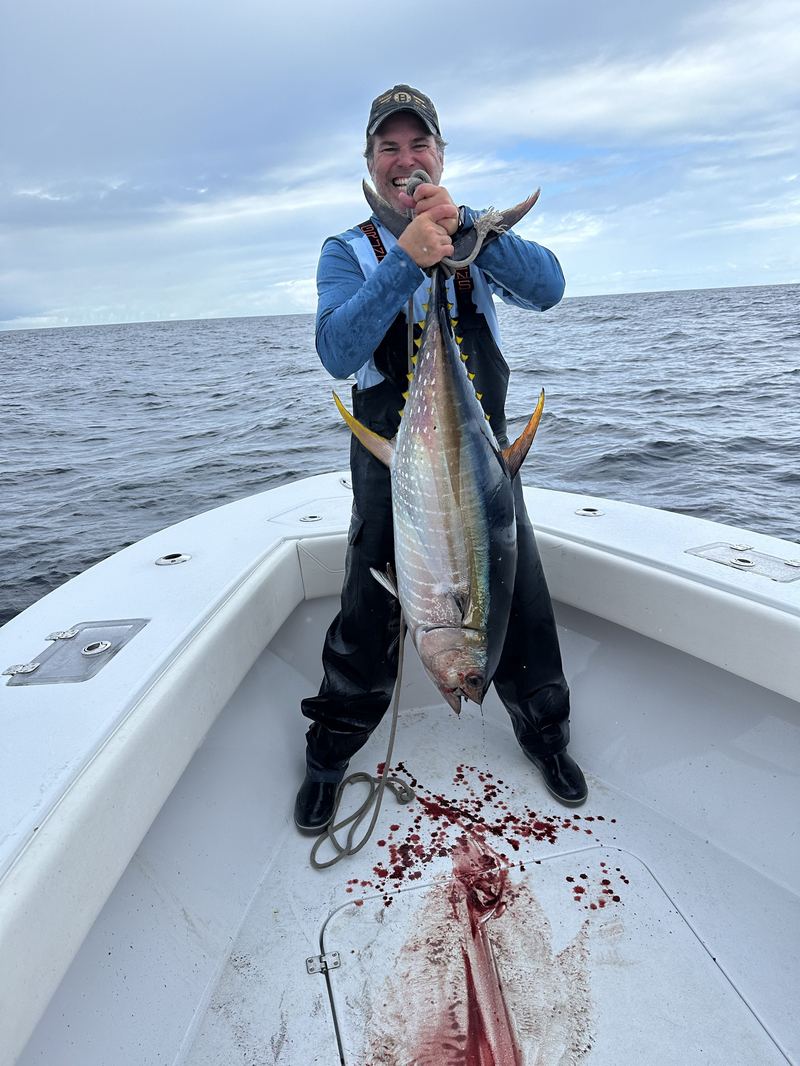 Yellowfin Tuna off Cape Cod, South of Martha’s Vineyard